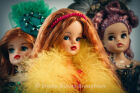 Clara &amp; Friends <br />(Vintage Sindy Doll)