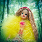 Clara (Vintage Sindy Doll)